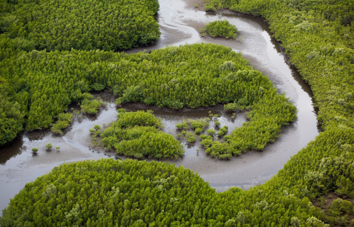 Fotografía: Luciano Capelli