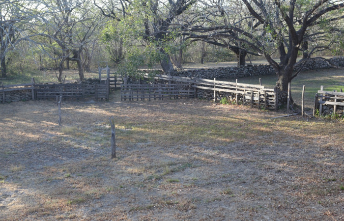 Fotografía: Luciano Capelli