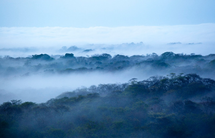 Fotografía: Luciano Capelli