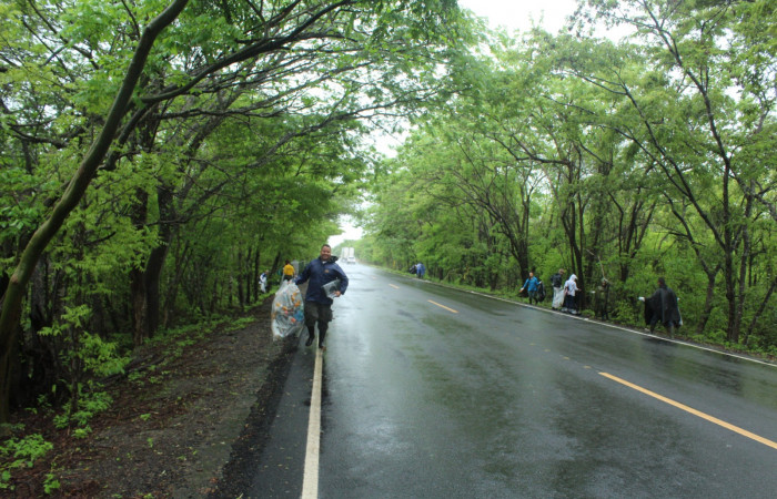 29 Mayo 2019
Foto: Melissa Espinoza