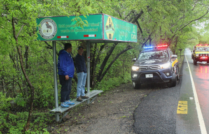 29 Mayo 2019
Foto: Melissa Espinoza