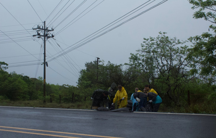 29 Mayo 2019
Foto: Melissa Espinoza