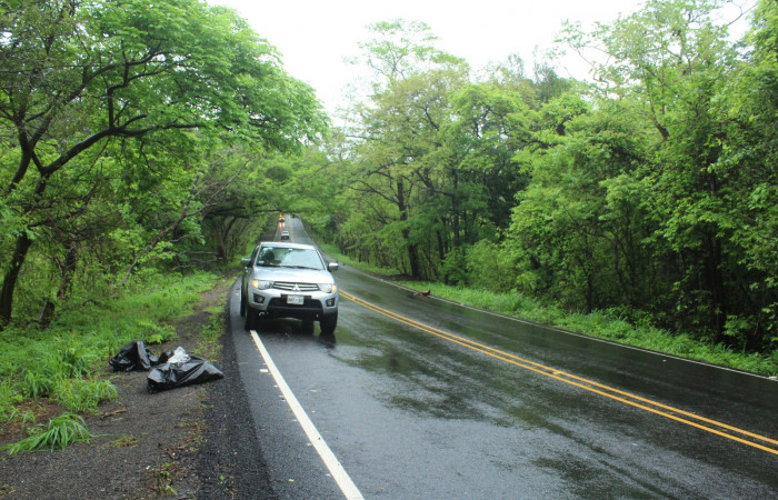 29 Mayo 2019
Foto: Melissa Espinoza