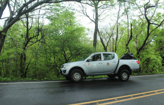 29 Mayo 2019
Foto: Melissa Espinoza