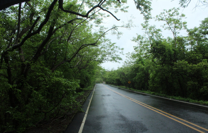 29 Mayo 2019
Foto: Melissa Espinoza