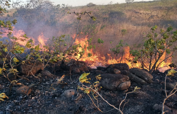 Parque Nacional Guanacaste  20 Marzo 2019  Foto: PMF