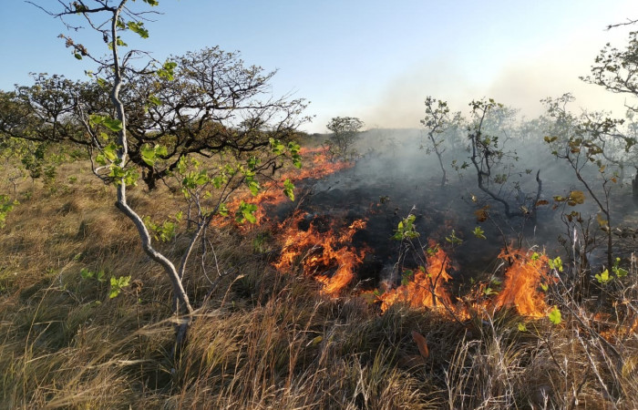 Parque Nacional Guanacaste  20 Marzo 2019  Foto: PMF