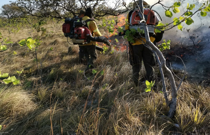 Parque Nacional Guanacaste  20 Marzo 2019  Foto: PMF