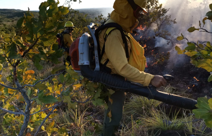 Provocado por un corto circuito de los cables de alta tension  12 de enero 2019  Foto: PMF