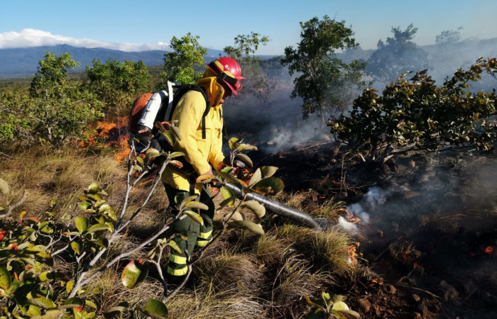 Provocado por un corto circuito de los cables de alta tensión  12 de enero 2019  Foto: PMF