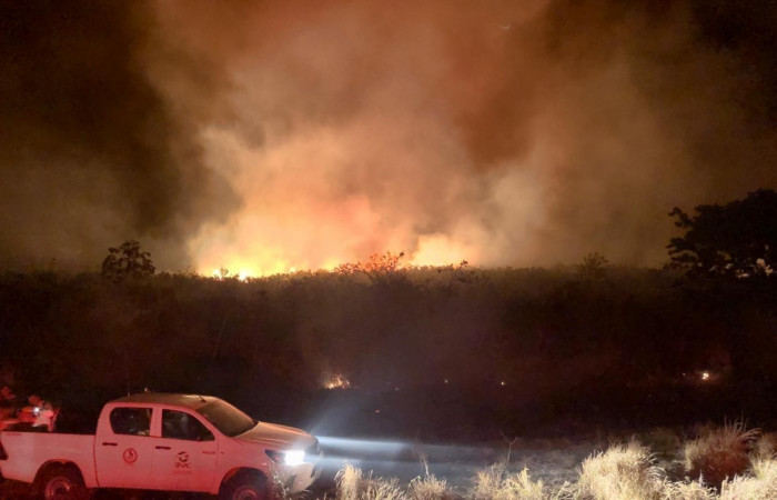 Parque Nacional Guanacaste  23 abril 2019  Foto: PMF