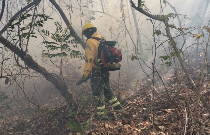 05 de marzo 2019  Foto: PMF