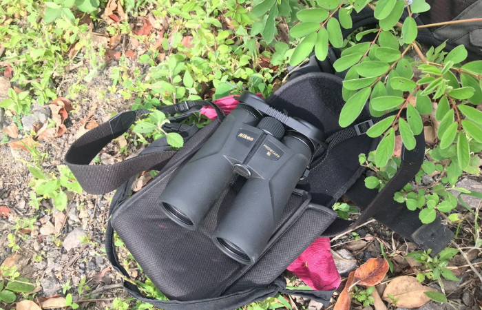 Sector Santa María Volcán Rincón de la Vieja, 9 de agosto 2018, Fotografía Freddy Salazar