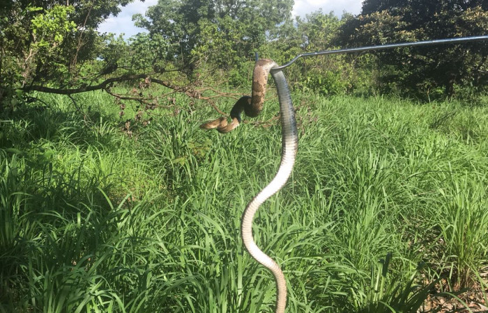 22 de Junio 2018, Liberia, Fotografía: Nahuel Flores Bianchi