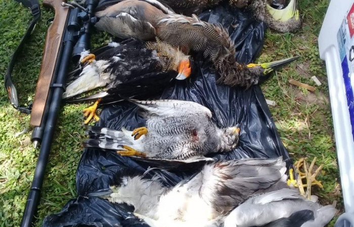 31 de julio 2019  Cercanías al Parque Nacional Palo Verde  Fotos: Quesada W