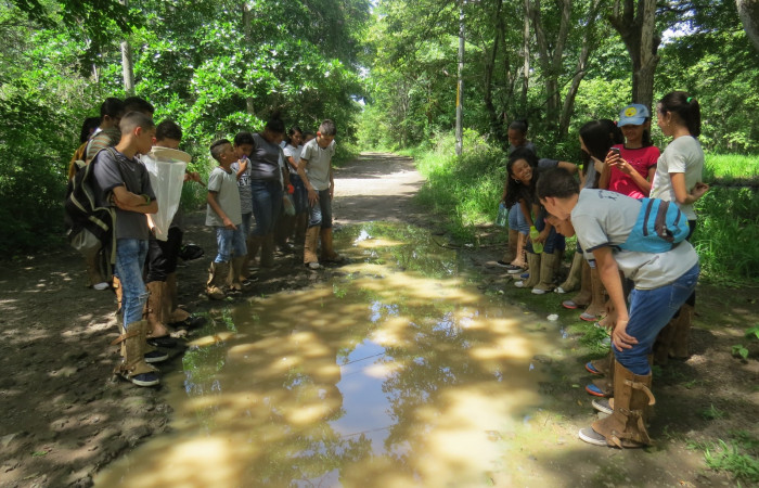 Aprovechando la época de lluvias, estudiamos las dos estaciones del bosque y los organismos que se encuentran en el sitio interactuando.