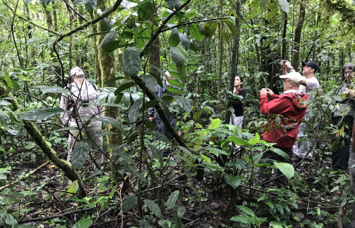 Proyecto Restauración con Gmelina, Sector San Cristóbal, Dos Ríos de Upala, 27 de enero 2018, Fotografía: Roger Blanco