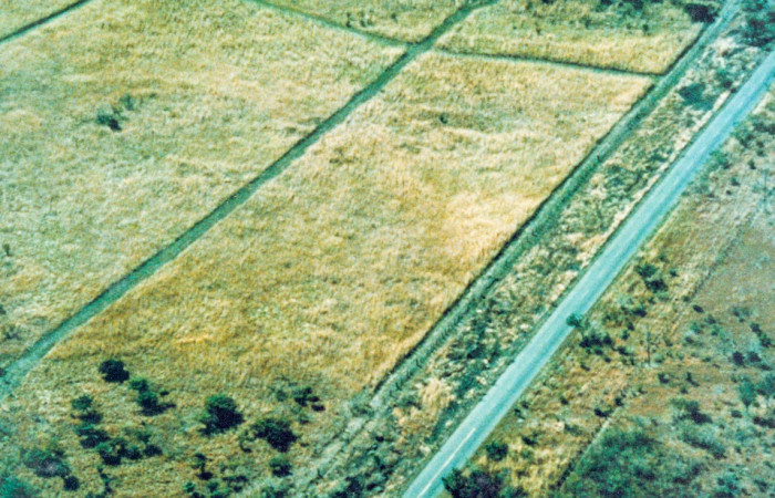 año 1988, Fotografía: Daniel Janzen