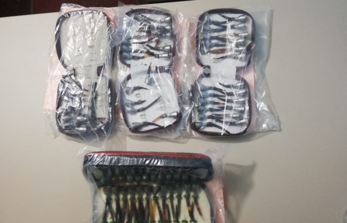 Santa Cecilia, La Cruz Guanacaste  07 julio 2019  Foto: Brigada de Control Forestal y PSA.