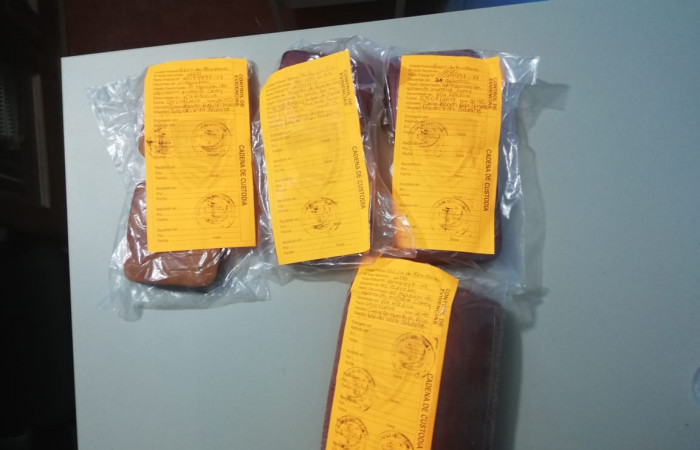 Santa Cecilia, La Cruz Guanacaste  07 julio 2019  Foto: Brigada de Control Forestal y PSA.