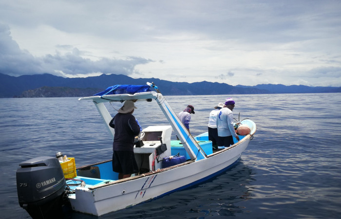 Sector Santa Rosa  7 de agosto 2019  Foto: Marco Bustos