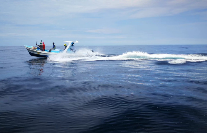 Sector Santa Rosa  7 de agosto 2019  Foto: Marco Bustos