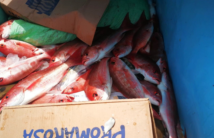 Sector Santa Rosa  7 de agosto 2019  Foto: Marco Bustos