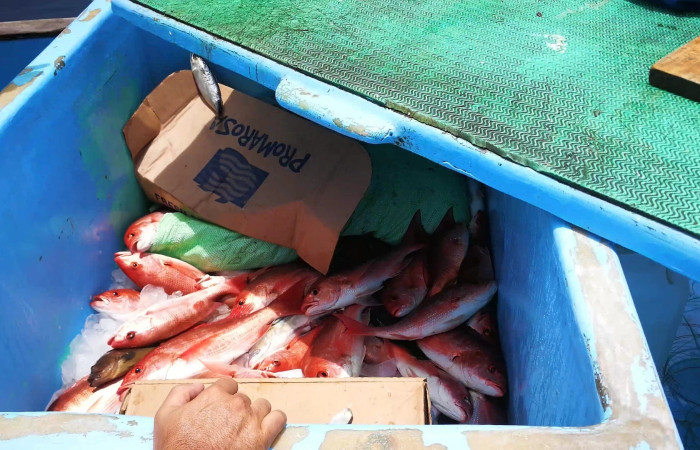 Sector Santa Rosa  7 de agosto 2019  Foto: Marco Bustos