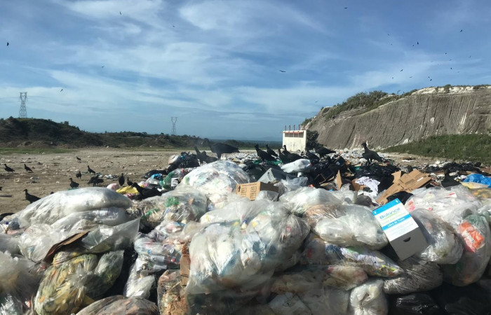 23 y 24 de agosto 2019  Sector Pailas, Volcán Rincón de la Vieja  Foto:PGAI