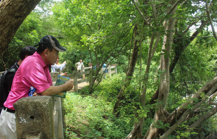 Sector Pailas Volcán Rincón de la Vieja, recorrido por sendero circular  20 de agosto 2019  Foto: Melissa Espinoza