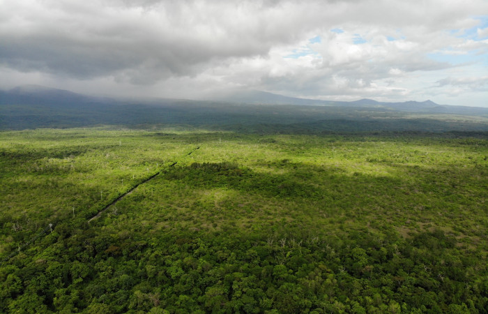 19 Julio 2018, Fotografía: Alejandro Masís