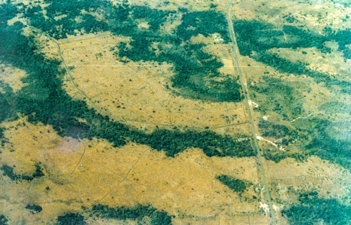 1988, Fotografía: Daniel Janzen