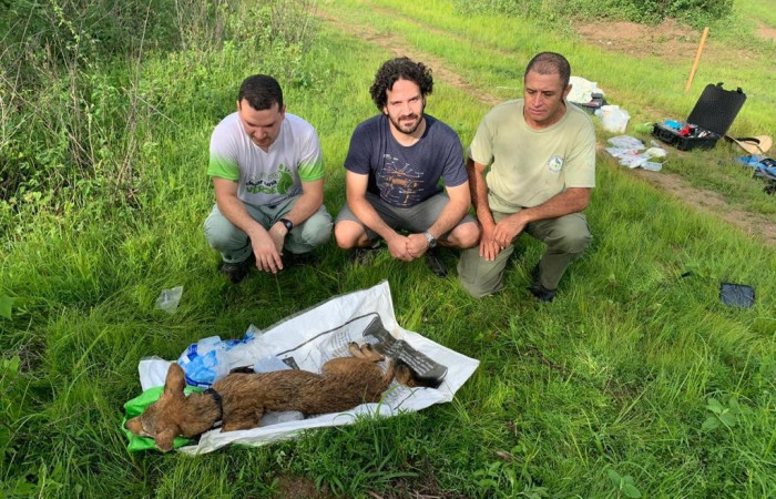 ACG  Junio 2019  Foto_ ICOMVIS-UNA