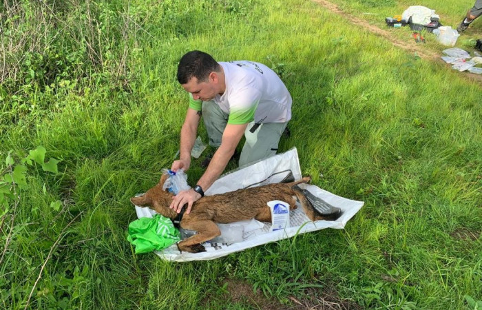 ACG  Junio 2019  Foto_ ICOMVIS-UNA