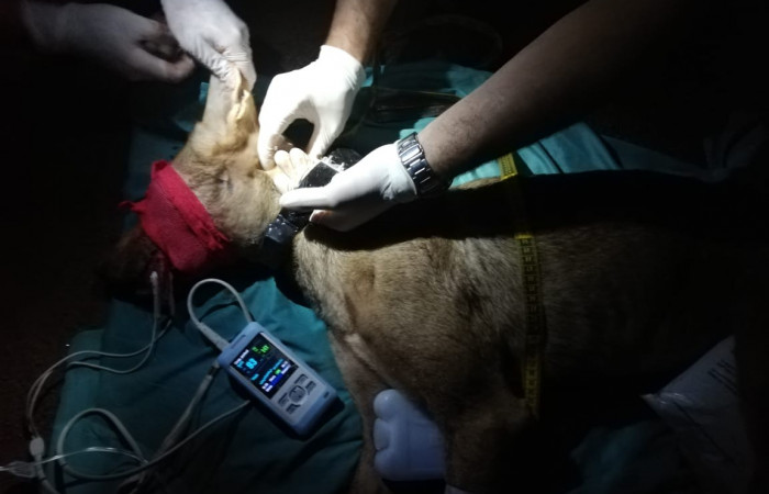 ACG  Junio 2019  Foto_ ICOMVIS-UNA