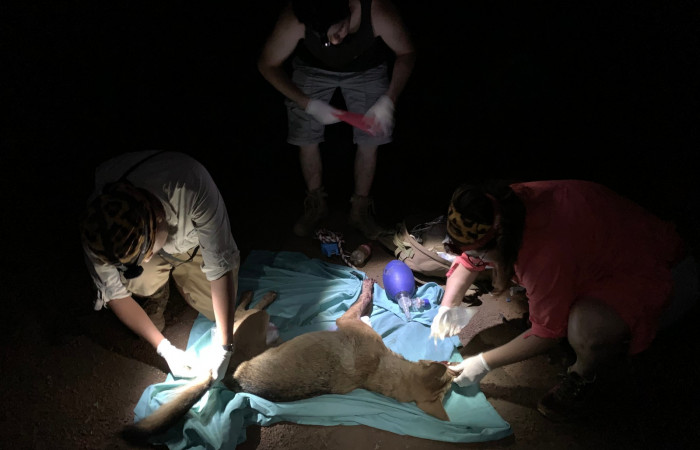 ACG  Junio 2019  Foto_ ICOMVIS-UNA