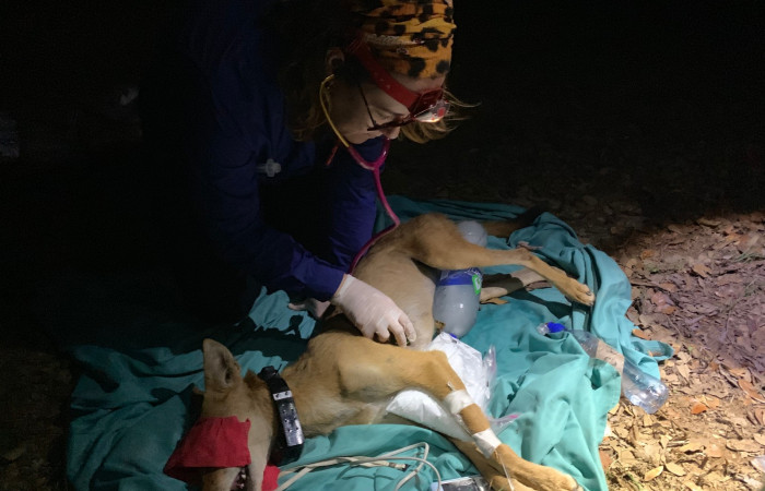 ACG  Junio 2019  Foto_ ICOMVIS-UNA