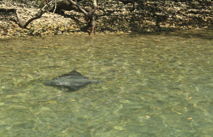 04 de octubre 2019  Foto: Melissa Espinoza