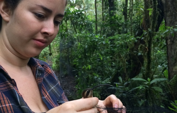 Estación Pitilla, febrero 2018, Fotografía: Natalie Sánchez