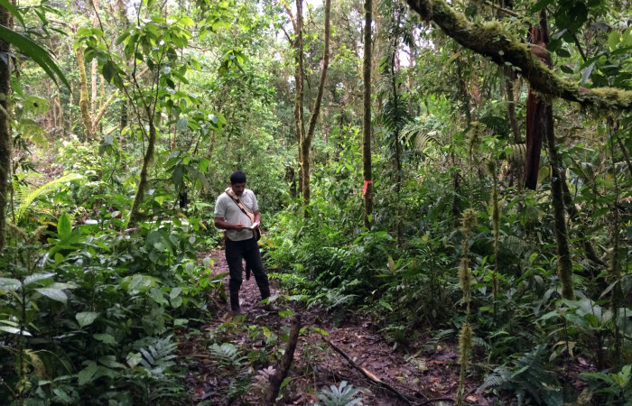 Estación Pitilla, febrero 2018, Fotografía: Natalie Sánchez
