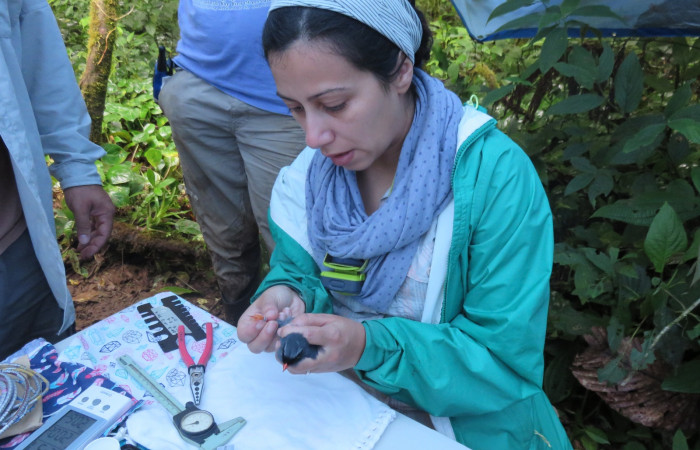 Estación Pitilla, febrero 2018, Fotografía: Eric Palola