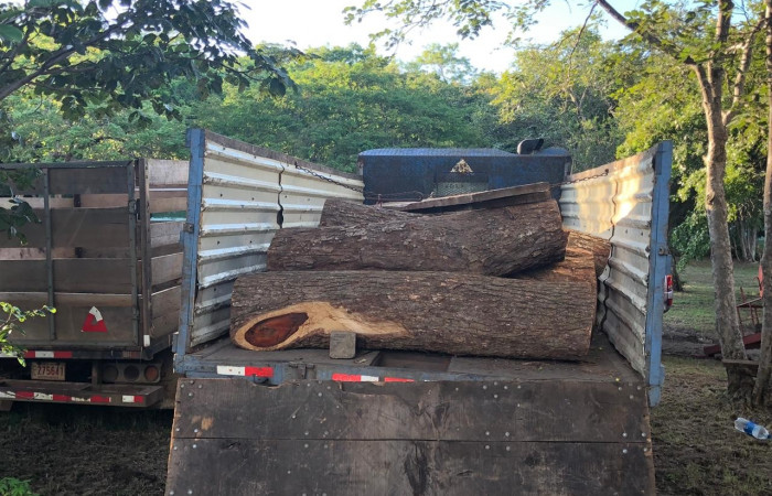 03 de octubre 2019  Foto: Brigada de Control, Seguimiento y Aprovechamiento Forestal del ACG  Bagaces