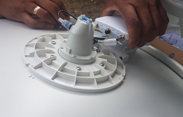 3 de noviembre 2019  Foto: Ronal Quirós