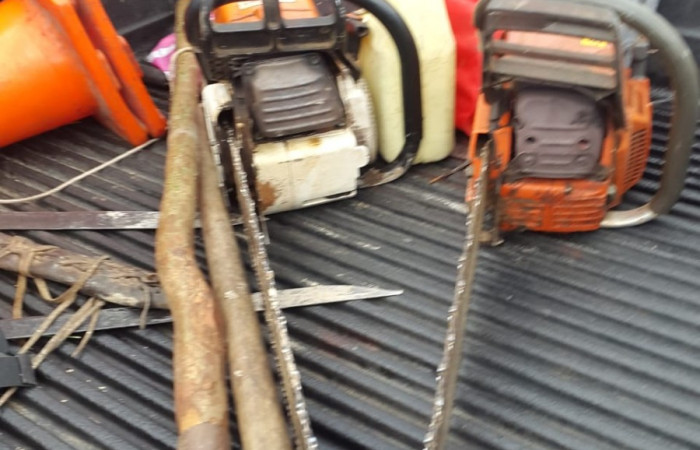 4 de diciembre 2019  Foto: Brigada de Control y Seguimiento Aprovechamiento Forestal  (BCAF.PSA)  Finca ubicada en Bella Vista de Santa Cecilia de la Cruz Gte