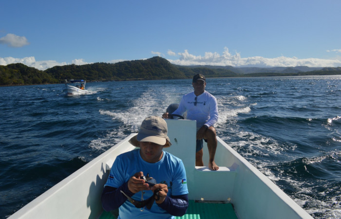 14 diciembre 2019  Foto: Olger Vega