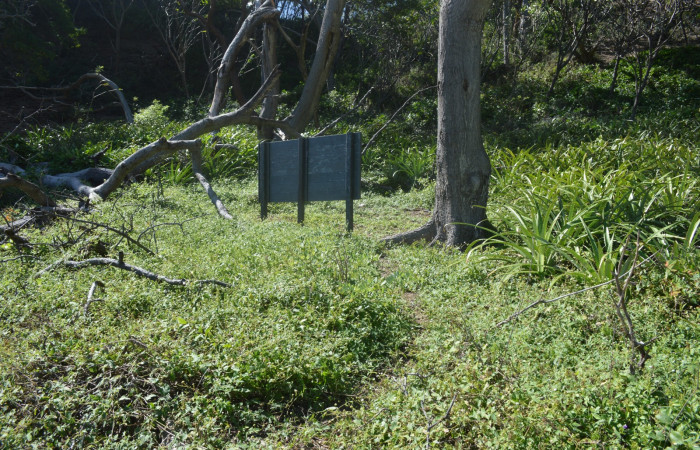 14 diciembre 2019  Foto: Olger Vega