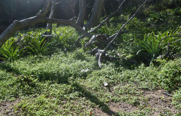 14 diciembre 2019  Foto: Olger Vega