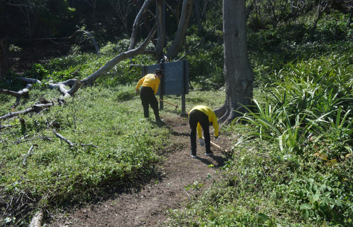 14 diciembre 2019  Foto: Olger Vega