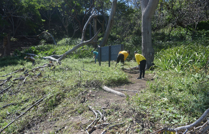 14 diciembre 2019  Foto: Olger Vega