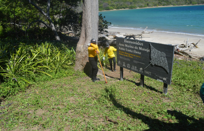 14 diciembre 2019  Foto: Olger Vega